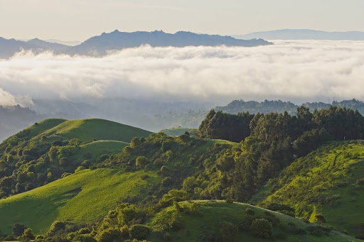 Park «Tilden Regional Park», reviews and photos, 2501 Grizzly Peak Boulevard, Orinda, CA 94563, USA