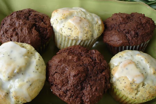 Chocolate Chocolate & Lemon Poppy Seed Muffins