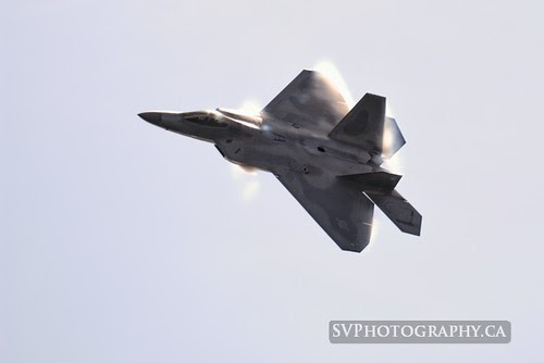 _DSC3873
