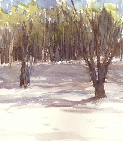Winter trees at Caramoor, Katonah, NY