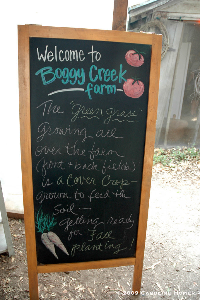 Welcome to Boggy Creek Farm