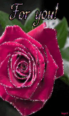Бархатная роза для вас!