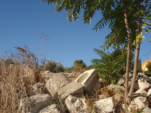 Waste on Temple Mount