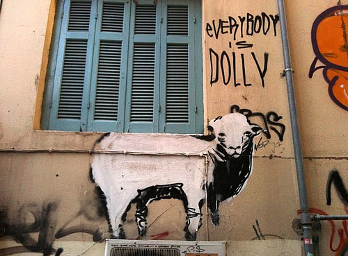Everybody is Dolly