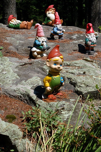 Catskill Gnomes