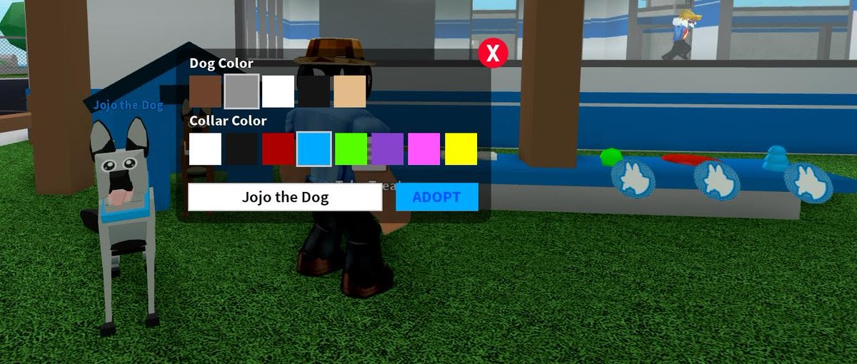 Silly Sally Roblox