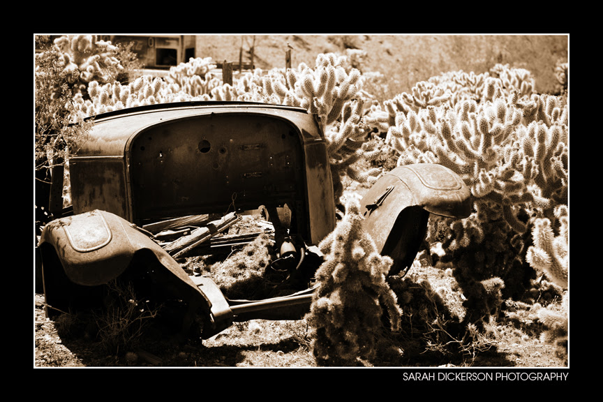 IMG_4287_sepia