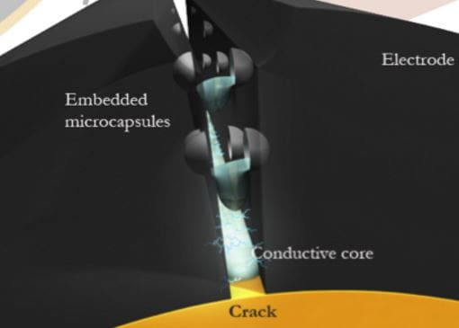 Microcapsules rupture and fill cracks with a conductive material. (Image: University of Illinois) microcapsules_qg3cxw.jpg