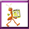 COREPILE GRAND JEU PILES LE PRINTEMPS COREPILE GRAND JEU PILES LE PRINTEMPS