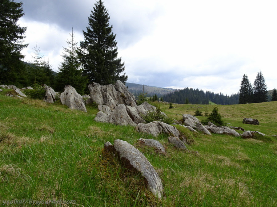 DSC04000-001 DSC04000-001