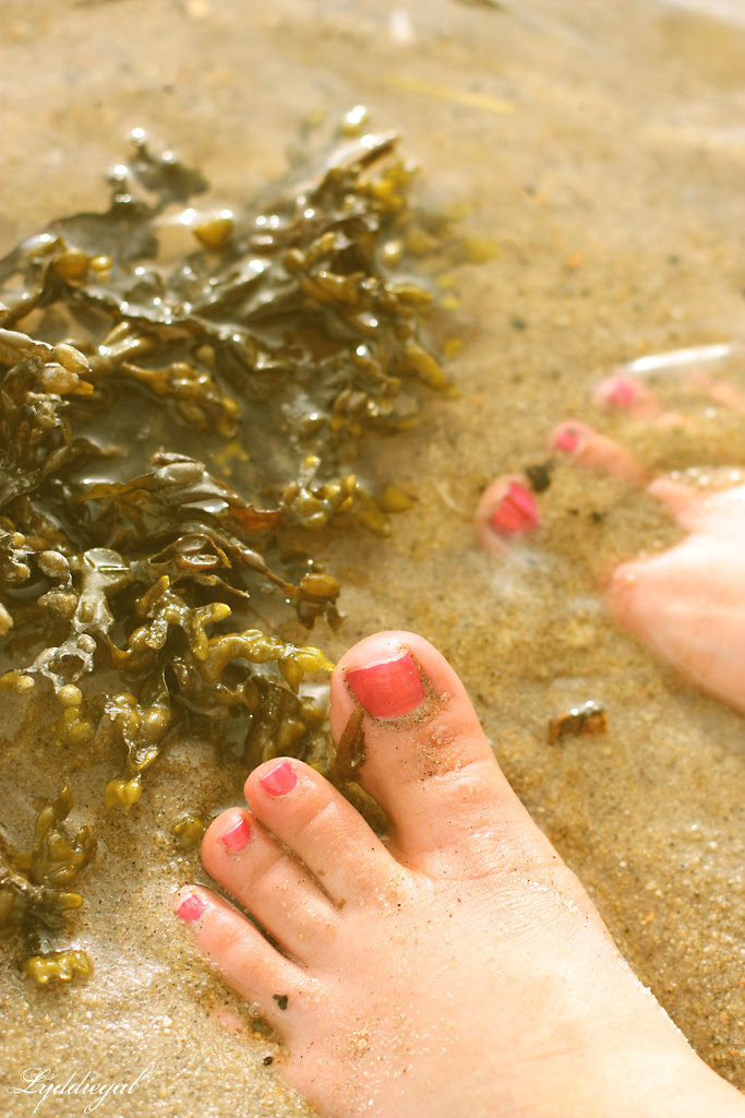 Seaweed toes