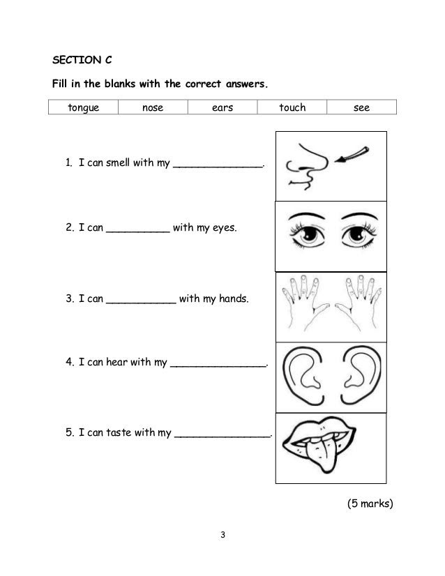 Contoh Mid Year Exam Tahun 2 Bahasa Inggeris 1st Grade Worksheets Words Exam