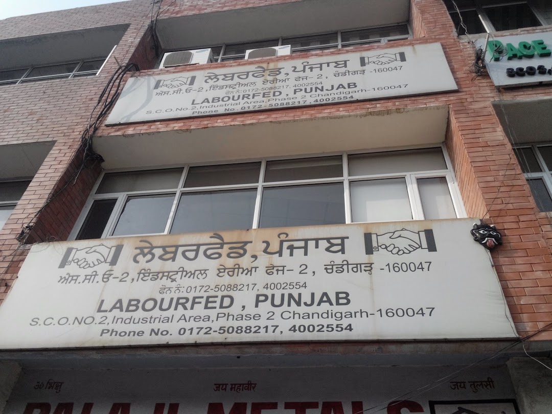 Labourfed Punjab