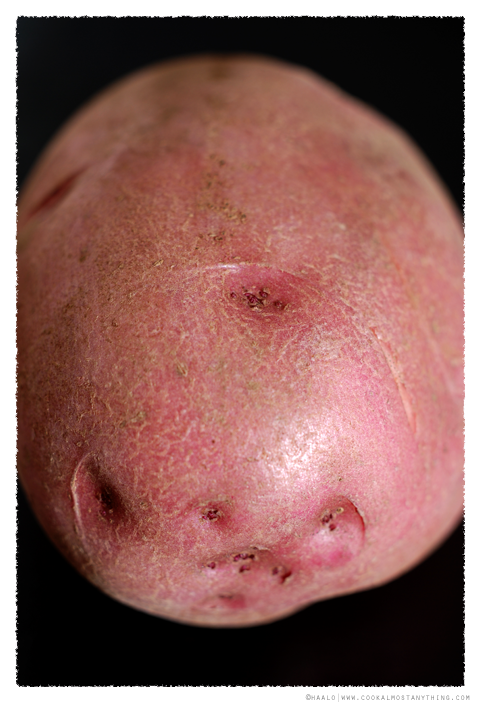 Viking Potato© by Haalo