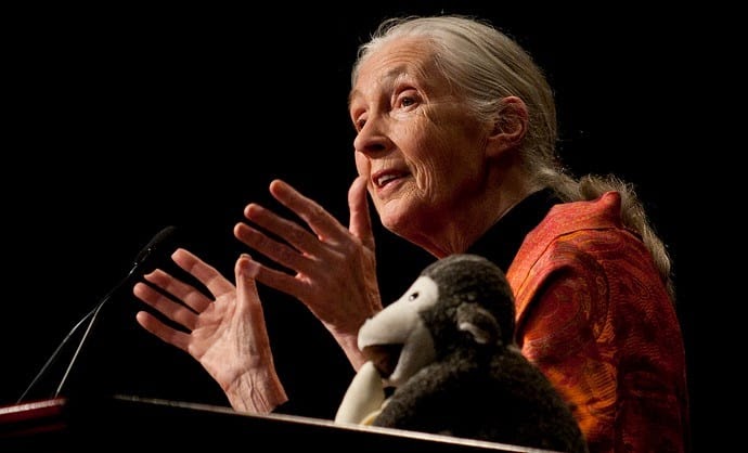 Jane Goodall Speaking Schedule 2022 Jane Goodall Speaking Tour 2022 - Tour Usa 2022