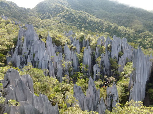 Gunung Mulu