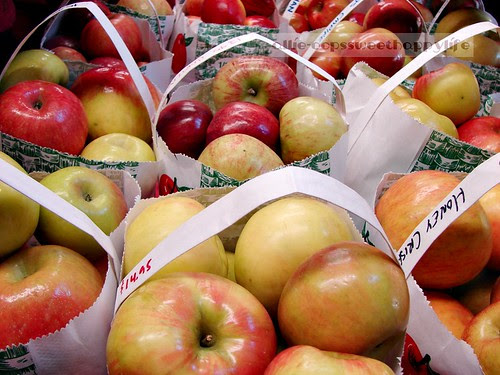 Franklin Cider Mill