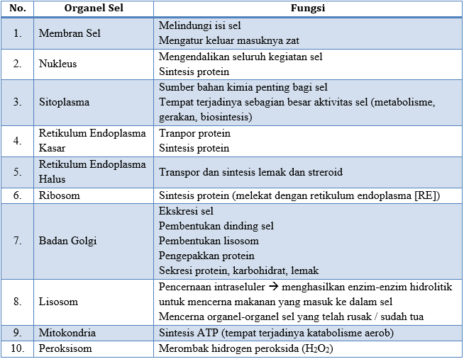 Tabel Struktur Dan Fungsi Sel Hewan Dan Tumbuhan
