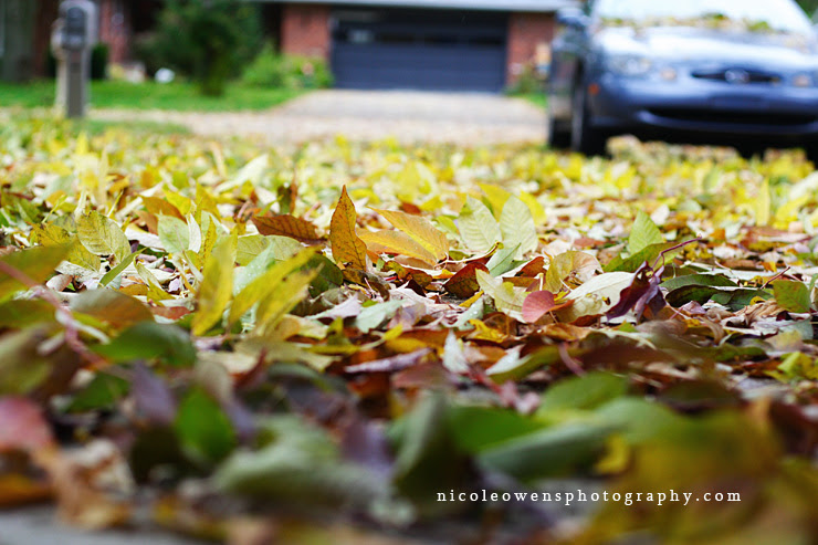 driveway1b