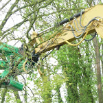 Des arbres coupés pour plus de sécurité à Souain-Perthes-lès-Hurlus