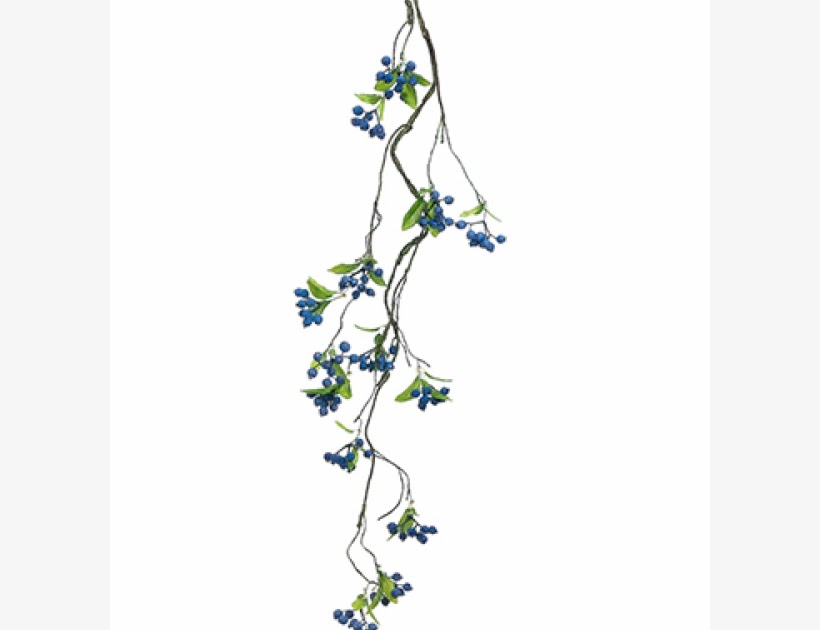 Vine Illustration Png Download Illustration 2020