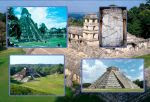 Imagen 15