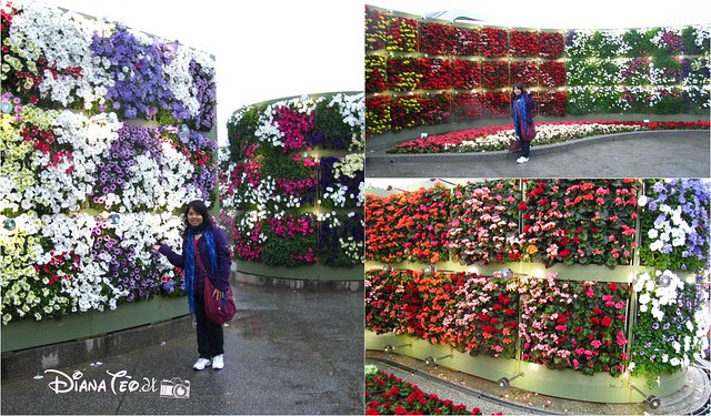 Taipei Flora Expo 15