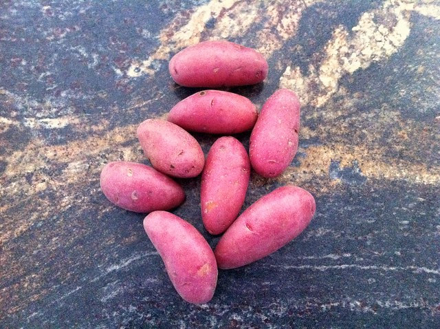 Baby Red Potatoes