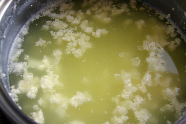 Ricotta