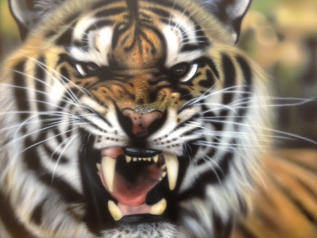 動物画像無料 これまでで最高の虎 かっこいい 画像