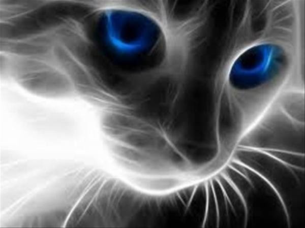 ラブリーかっこいい カッコイイ 猫 イラスト ただのディズニー画像