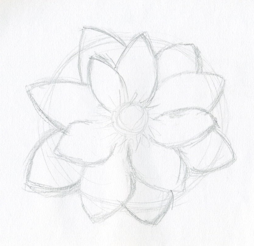 Featured image of post Easy Simple Flower Pencil Drawing - Check and see more art works and creative ideas about flowers drawings,roses pencil drawings, also see.