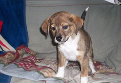 Kelly_112011c