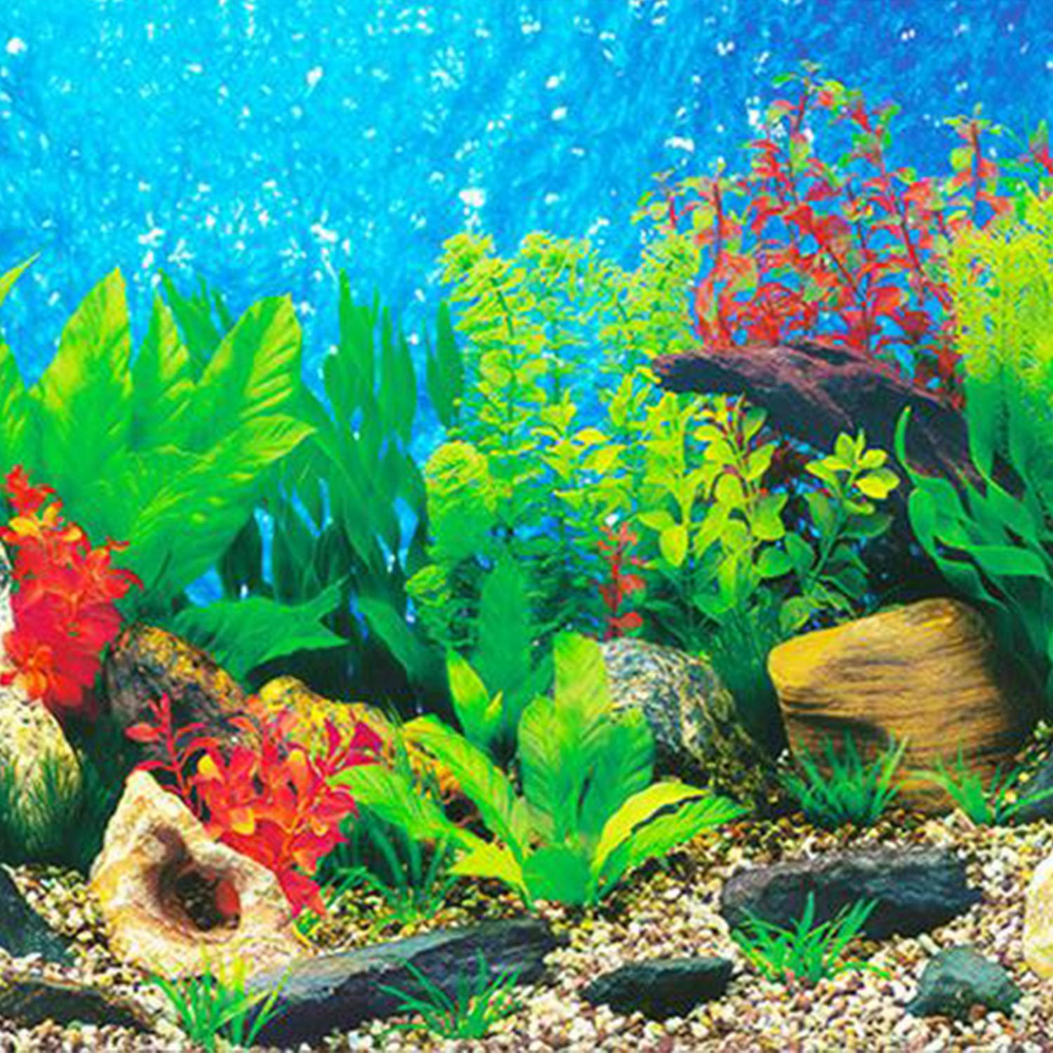 Unduh 560 Background Aquarium Cost HD Gratis