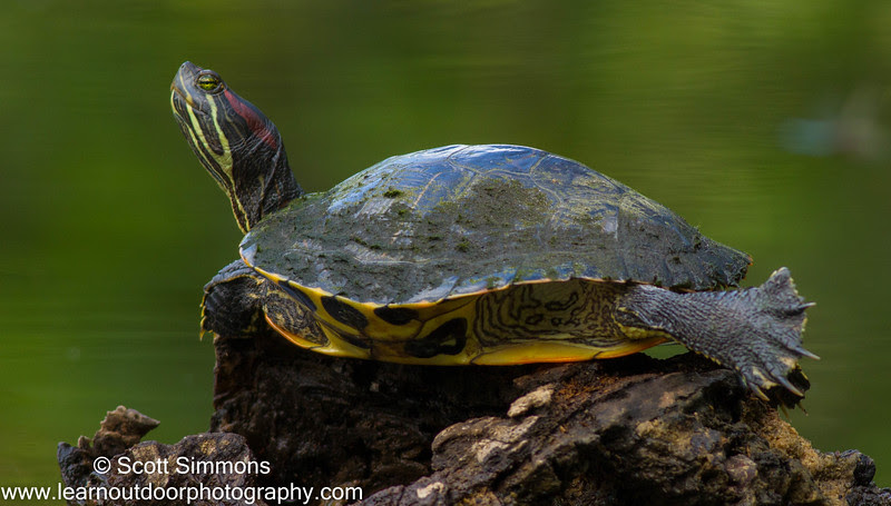 Photo & Video Sharing by SmugMug Photo & Video Sharing by SmugMug
