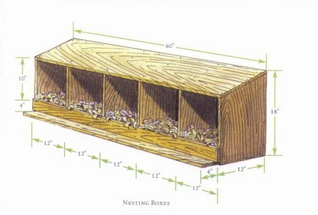 Lucas: How big should a chicken coop nesting box be