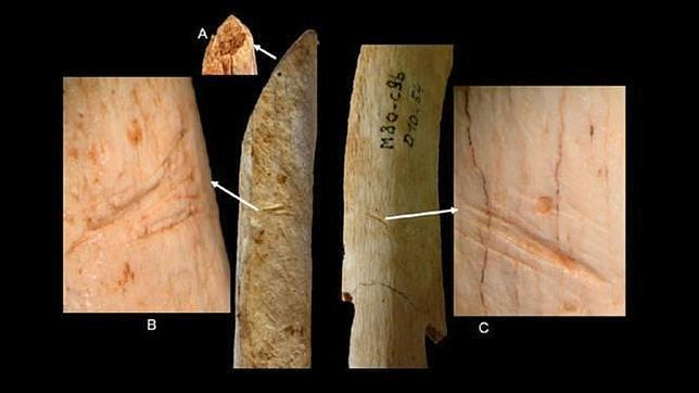 Los neandertales manipulaban los cadáveres al poco tiempo de morir