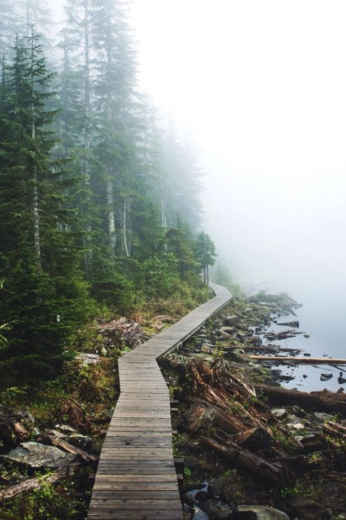 boardwalk designs 21