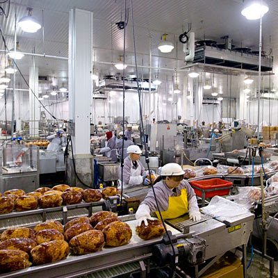 manufacturing-lungs