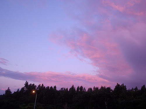 Pink & purple sky