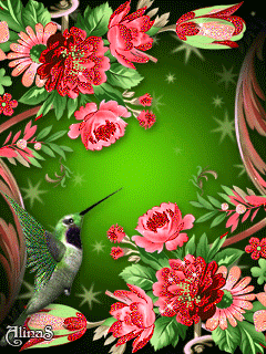 В волшебном саду (цветочный орнамент и птичка)