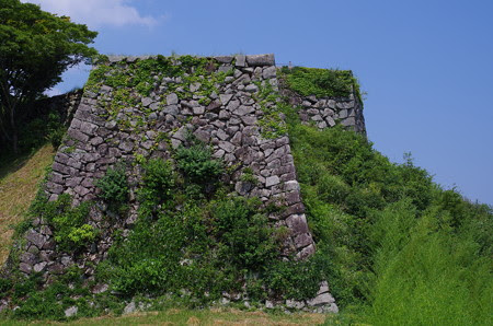 IMGP1662