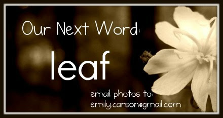 Word of the Week. leaf