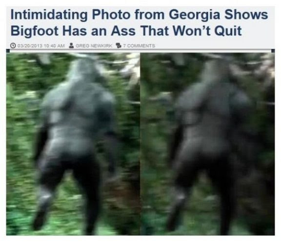 Top 15 - Imagens que deveriam ser excluidas da internet Top 15 - Imagens que deveriam ser excluidas da internet