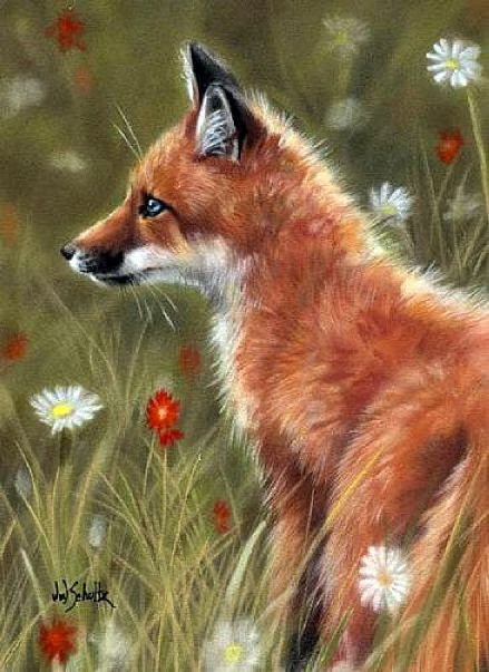 Little One - Fox Kit