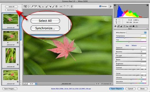Adobe Photoshop CS4 Tutorial - Transforming A Smart Object In CS4 Working In Adobe Camera Raw - ACR - Adobe Camera Raw Tips