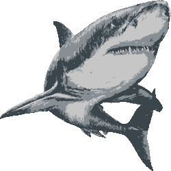 新鮮なリアル 簡単 サメ イラスト すべてのイラスト画像