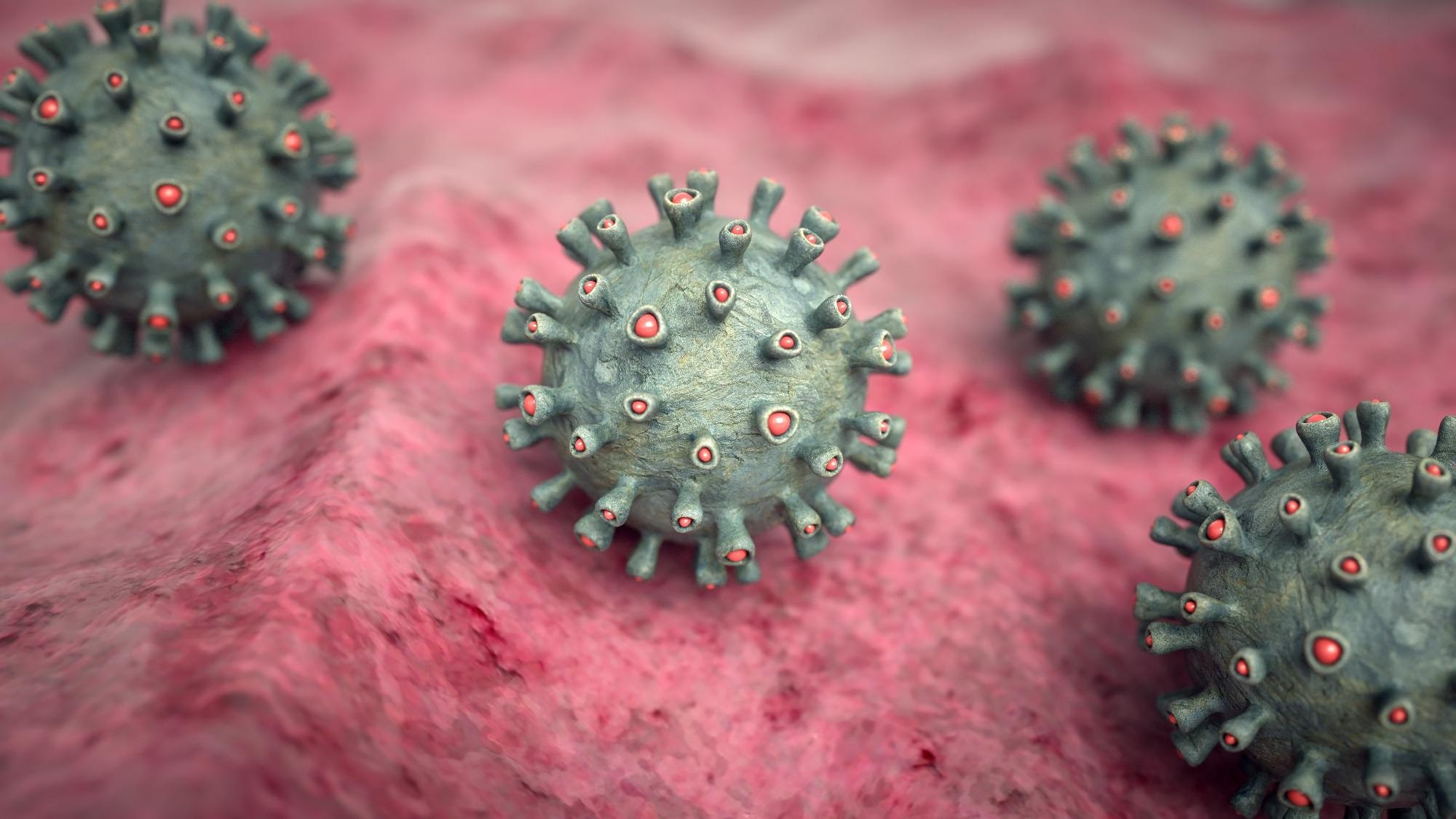 Scientists examine the impact of herpesviruses on (pre)diabetes