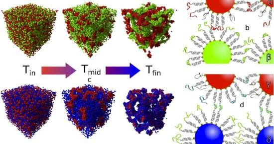 DNA dá vida a materiais inertes