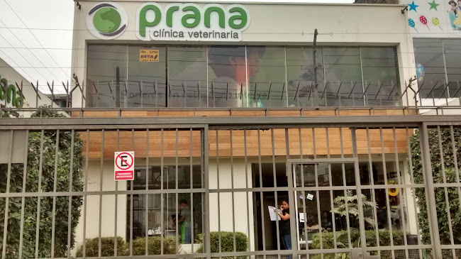 Prana Clínica Veterinaria - Surquillo